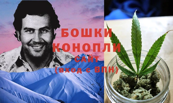 бошки Алексин