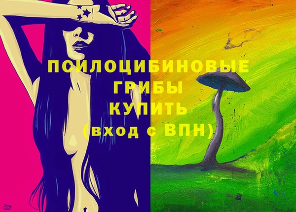бошки Алексин